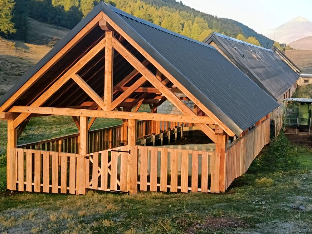 Structure poteau-poutre en mélèze de pays, bâtiment agricole
