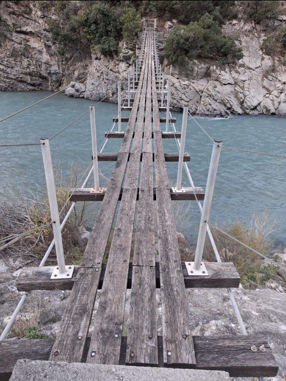 Pont de singe
